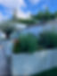 IMG_2146.jpeg