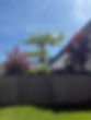 IMG_4325.jpeg