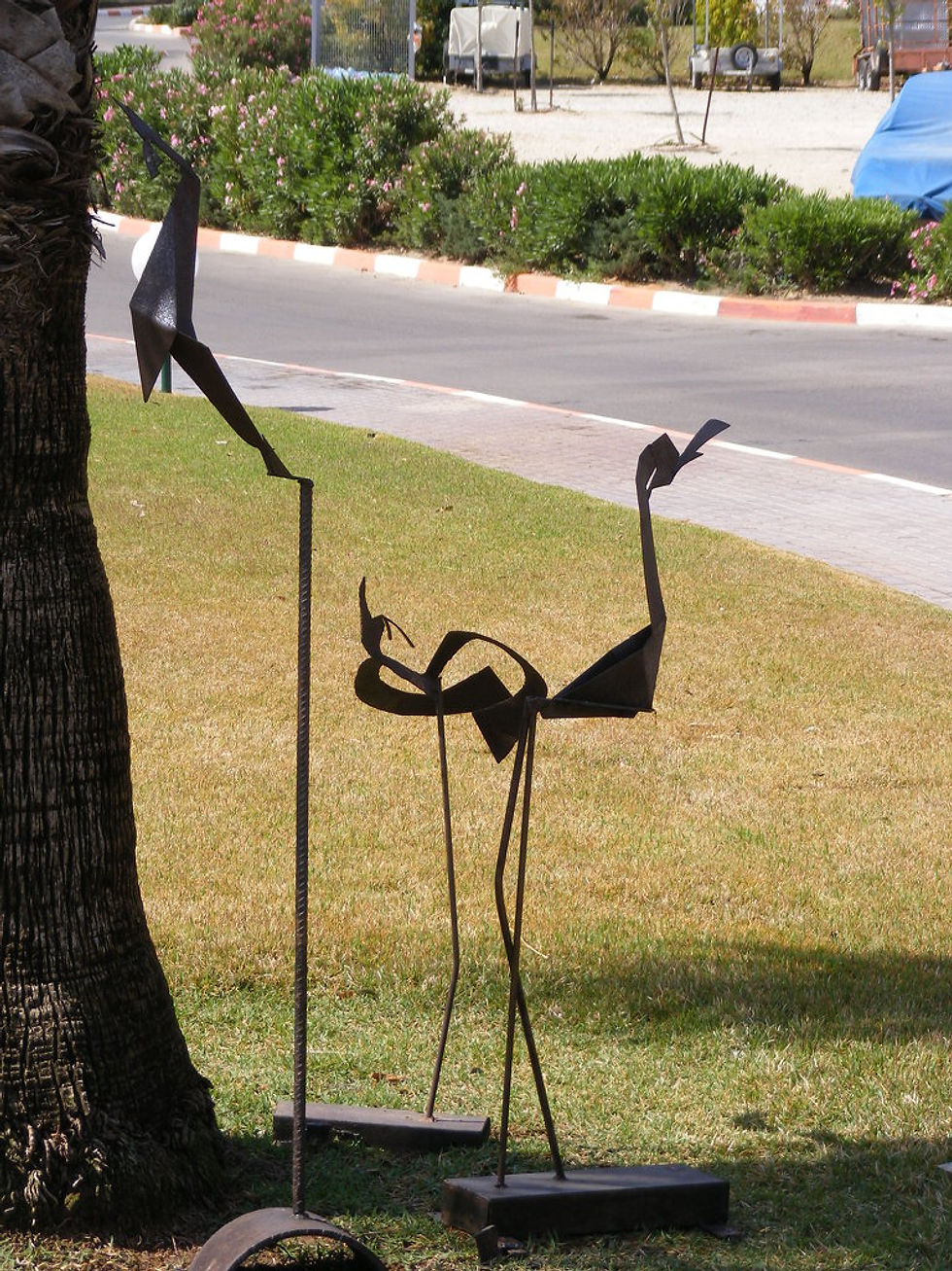ציפורים