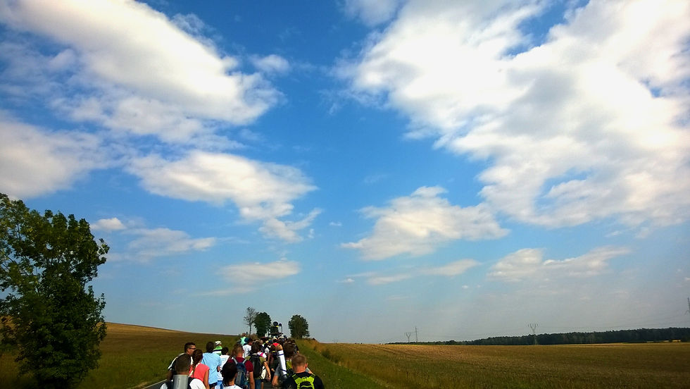 WP_20150818_15_28_09_Pro_edited.jpg
