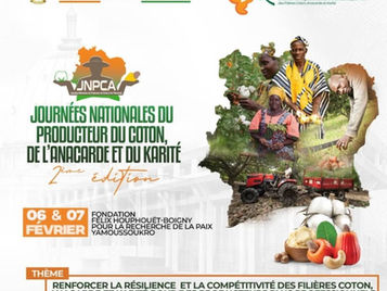 The 2026 Raw Cashew Season is Officially Here: What You Need to Know