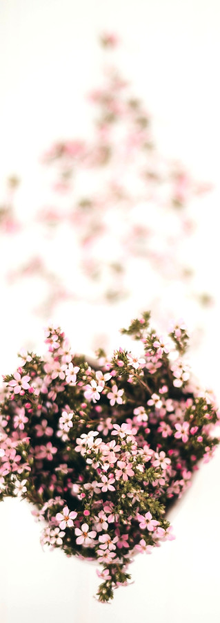 Pink Bouquet_edited_edited.jpg