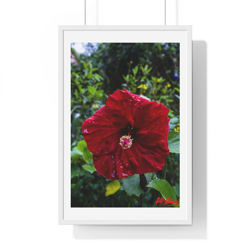 The Rose of China Hibiscus Flower Premium Framed Vertical Poster