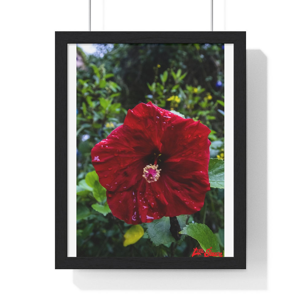 Thumbnail: The Rose of China Hibiscus Flower Premium Framed Vertical Poster