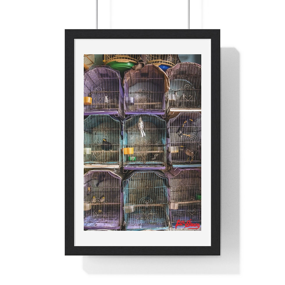 Thumbnail: Bird Cages Premium Framed Vertical Poster