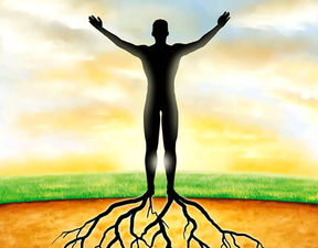 Finding Harmony: Balancing the Spiritual and Material Worlds