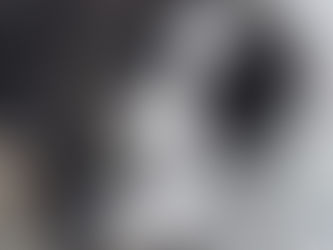 Tess 7 semaines est disponible à la réservation,  sera disponible vers le 15 octobre