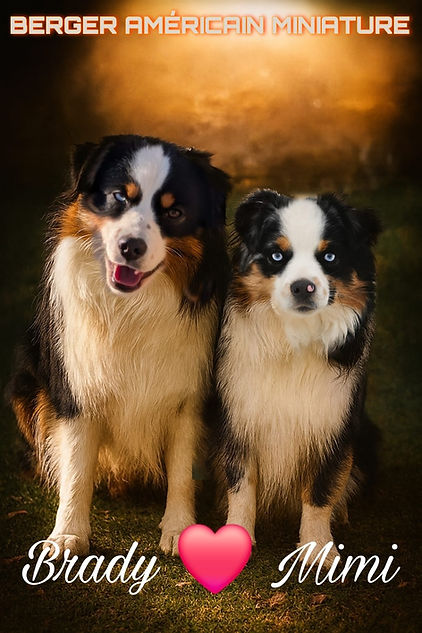 WhatsApp Image 2026-03-02 at 11.29.37.jpeg