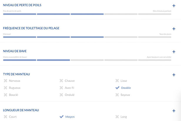 CHIOT BERGER AMERICAIN MINIATURE