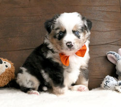 P1673979_edited_edited