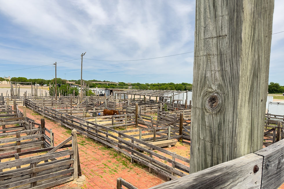 Enclos en bois avec vache brune au centre. Ciel bleu clair et arbres en arrière-plan. Ambiance calme et rurale.