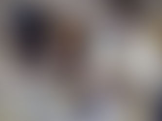 TRIREMA E POEZISE JONIANE (edicioni XV)