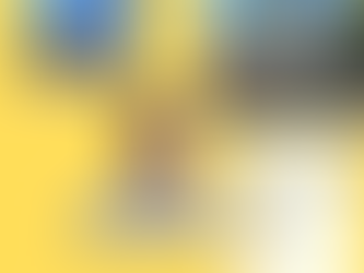 Tanush Çaushi: Banesat Historike të Konispolit po shemben dhe  historia para syve tanë!