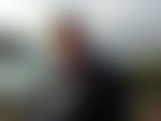 Kristo Kauri: " Në pyje është zhdukur jeta "