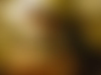 TO CLARINDA  by Robert Burns