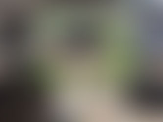 Shpella 27 mijë vjeçare e Kreshmoit në Konispol