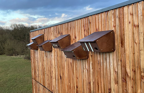 Bird boxes