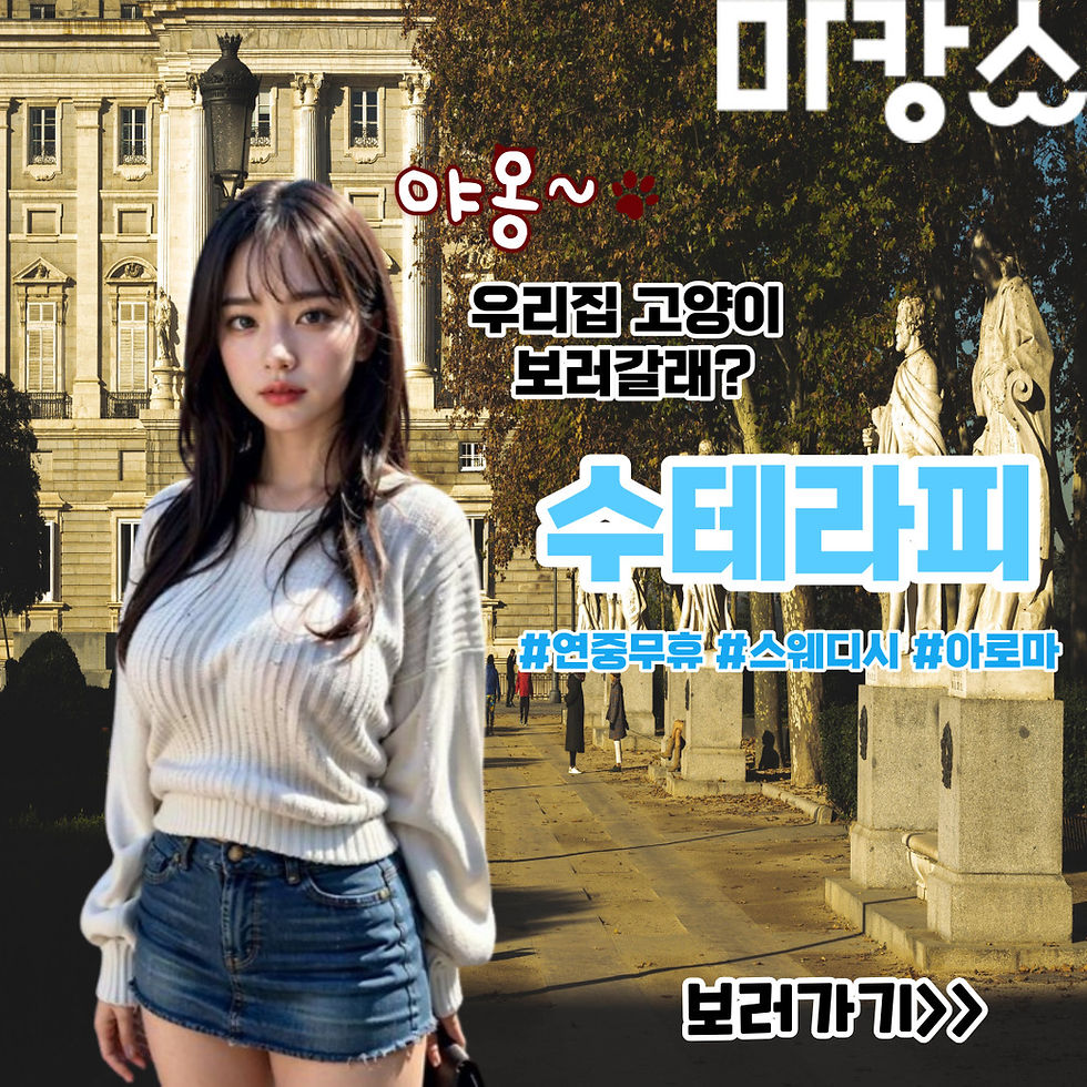 우리집 고양이 보러갈래?