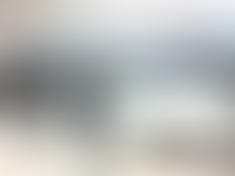 How Adirondack Imagery lends itself to the Block Printing Process