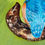 Thumbnail: On The Look Out - Art Print