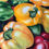Thumbnail: Capsicums: Nature's Candy - An Original Watercolor Painting