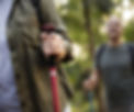 A person walking with hiking poles