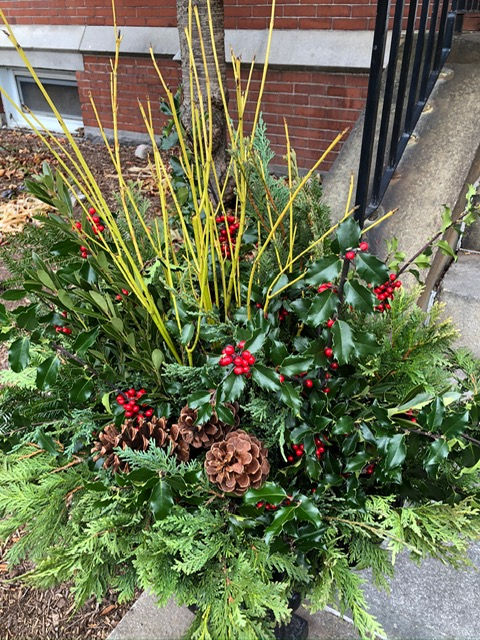 Downtown Winter Planting [members only]