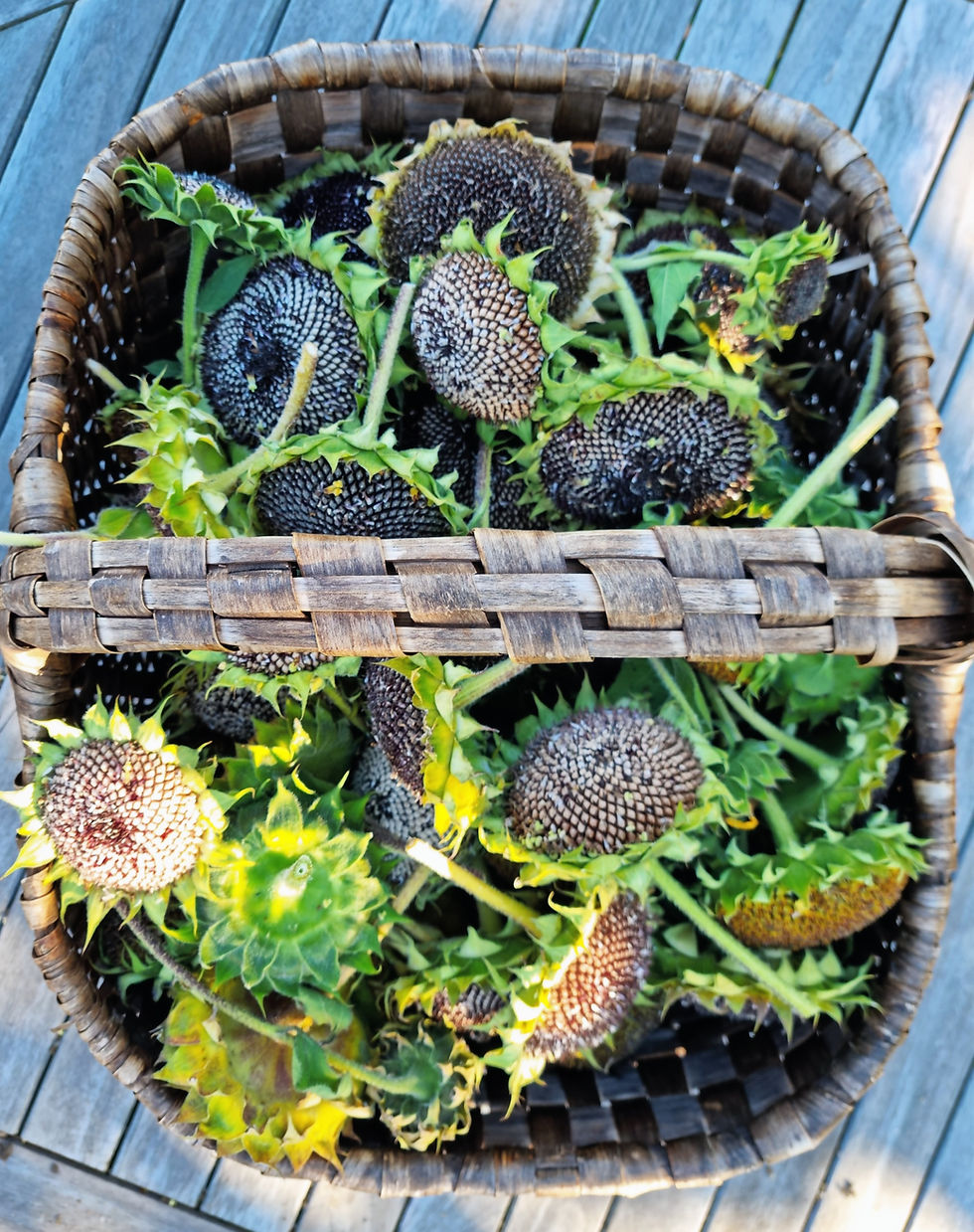 Réaliser une couronne d'automne avec des tournesols