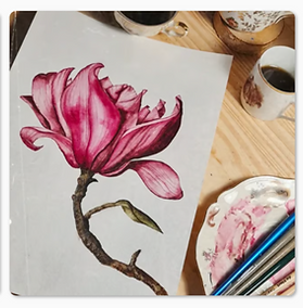 Capture d’écran 2025-05-05 022821.PNG