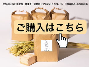 S__829038601.jpg