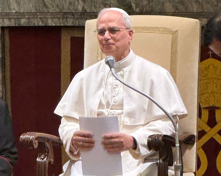 Pope Leo XIV addresses CAPP members in private audience.