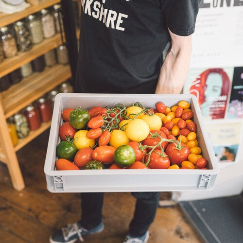 Mixed Baby Plum Tomatoes (250g)
