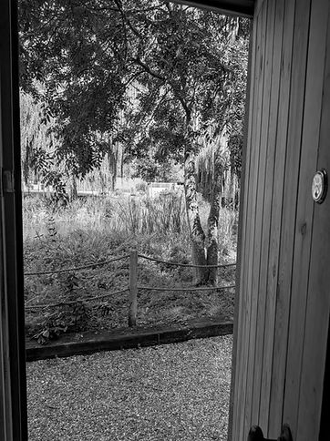 Looking out of the cabin doorway_edited.jpg