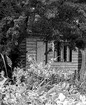 Cabin15_outside2_edited.jpg