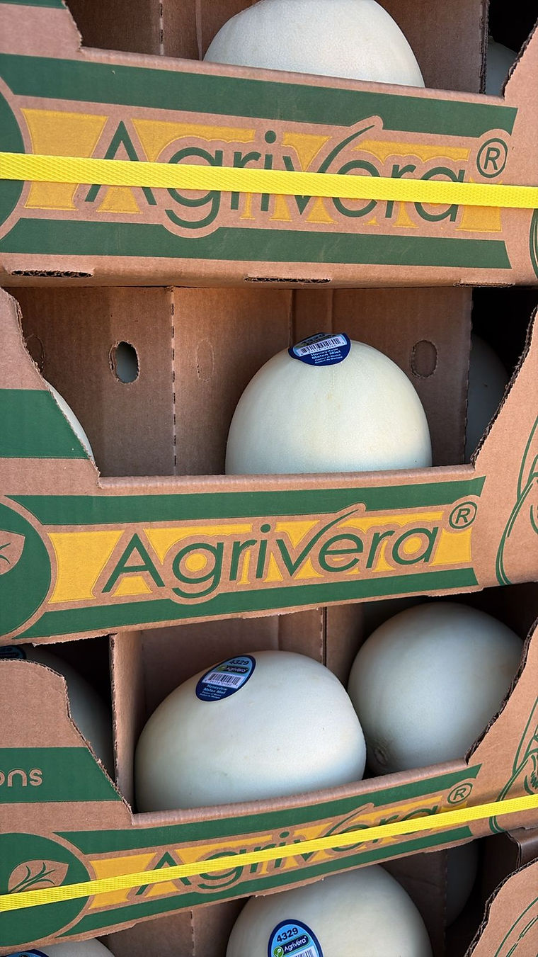 A honeydew melon in an Agrivera carton