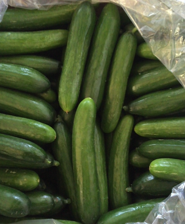 Slicer cucumbers packed under film