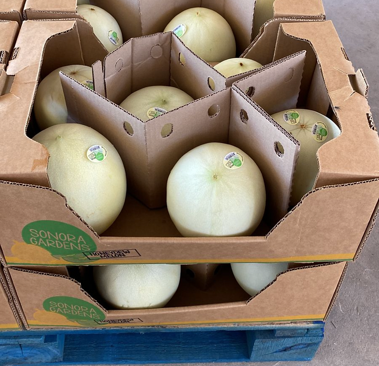 Honeydew melons in a divided Sonora Gardens carton