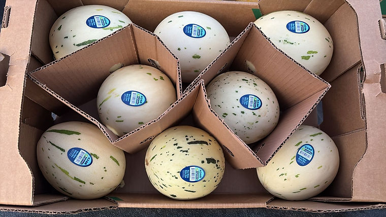 Speckled melons packed in a divided carton