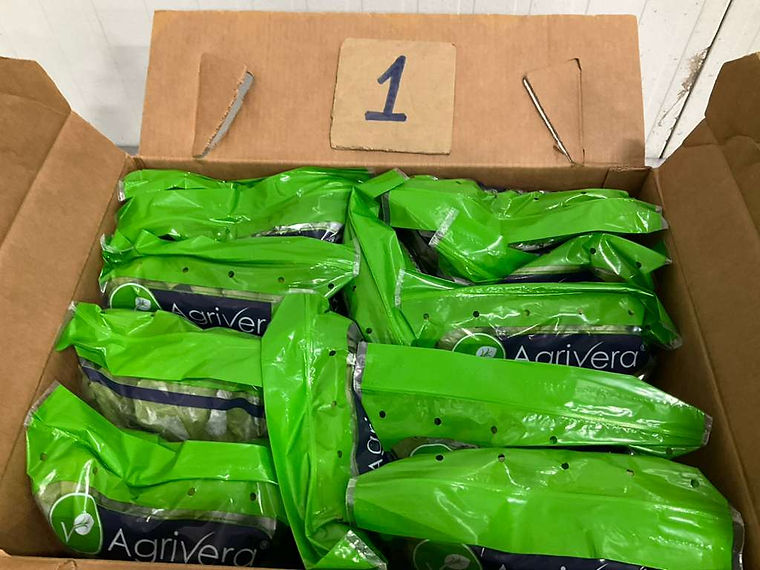 Bagged romaine hearts filling a carton