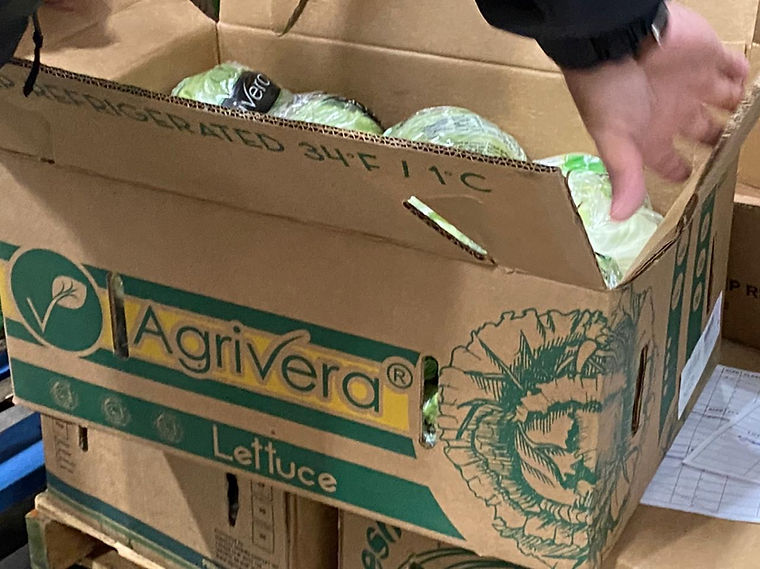 An Agrivera lettuce carton being closed on the line