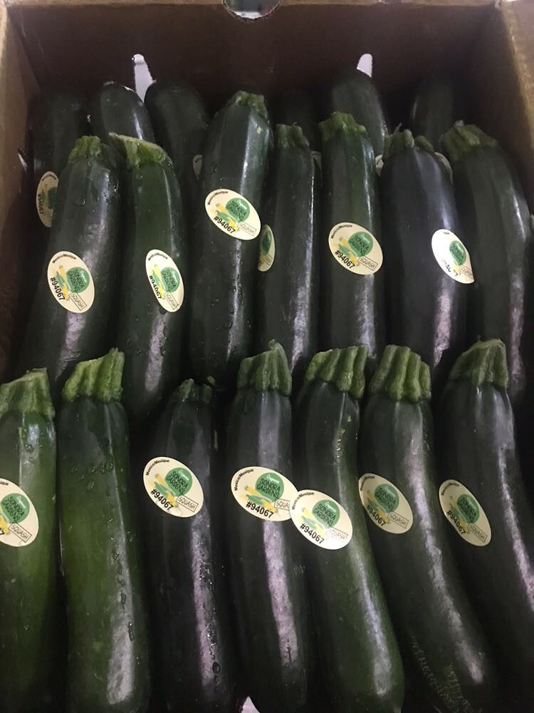 Stickered zucchini packed in a carton
