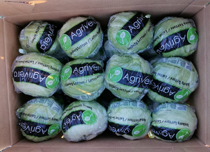 View recent photos 10.png