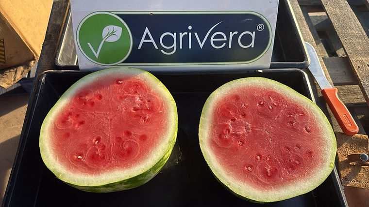 Halved watermelons beside an Agrivera sign