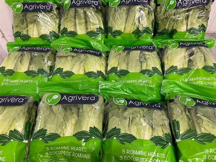 Cartons of bagged Agrivera romaine hearts
