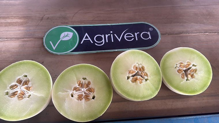 Halved green-fleshed melons beside an Agrivera sign