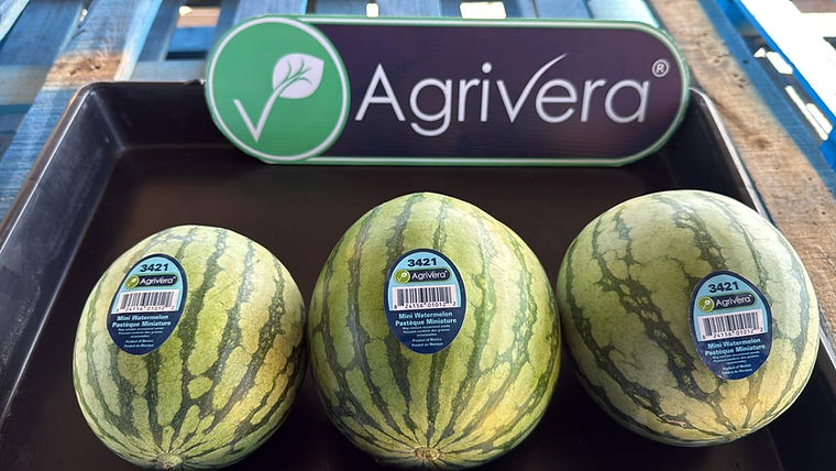 Mini watermelons in a display carton