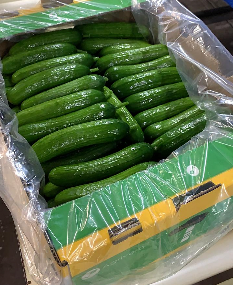 Persian cucumbers packed in a lined Agrivera carton