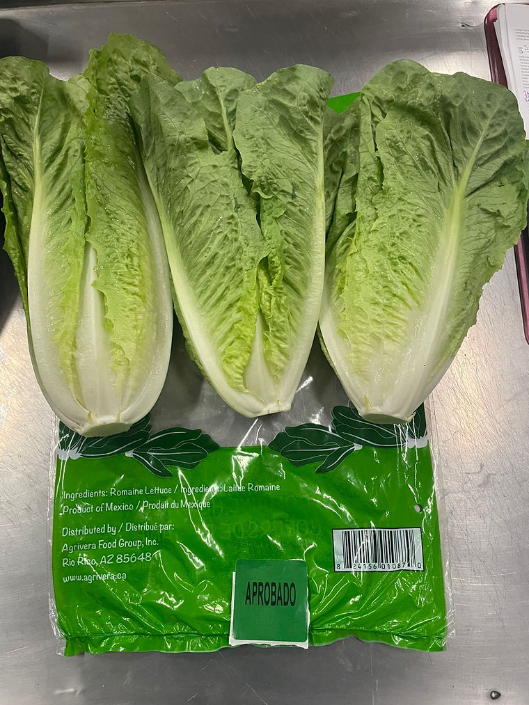 Bagged romaine hearts on the packing table