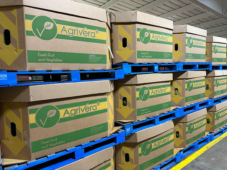 Agrivera cartons stacked on the packing line