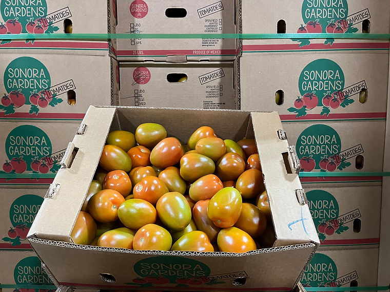 Tomates madurados en planta en una caja Sonora Gardens